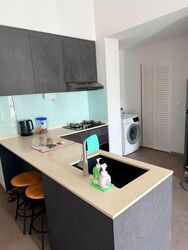 Loft @ Rangoon (D8), Apartment #592743261
